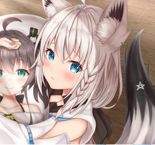 1583392709363189.png 超级截屏_20200227_133048.png