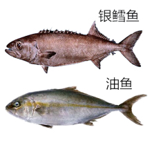 1584945130602101.jpg e824b899a9014c08c6807abe057b02087bf4f476.jpg