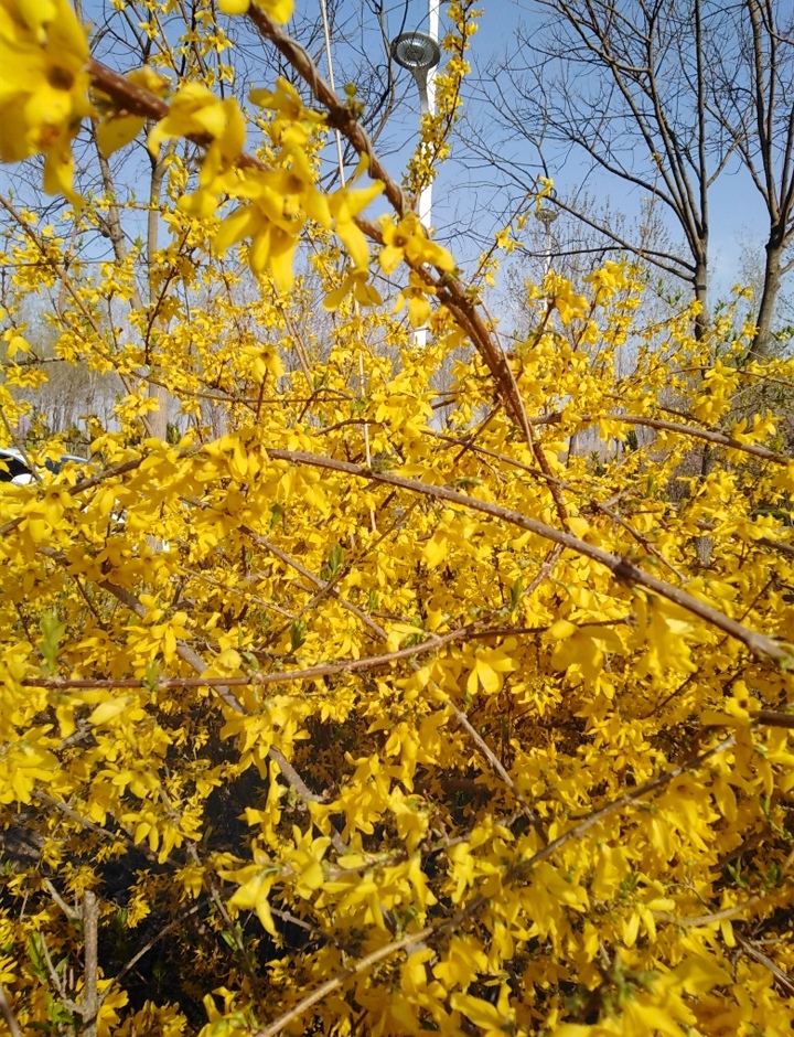 IMG_20200328_171550.jpg