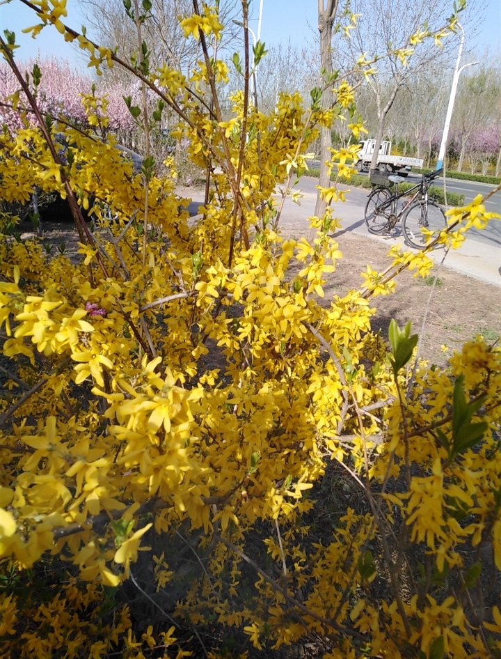 IMG_20200328_171537.jpg