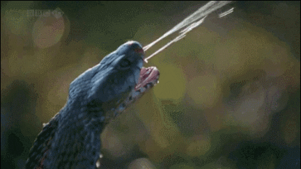 cb11a3bf5afea6c3231a2a720755f912.gif