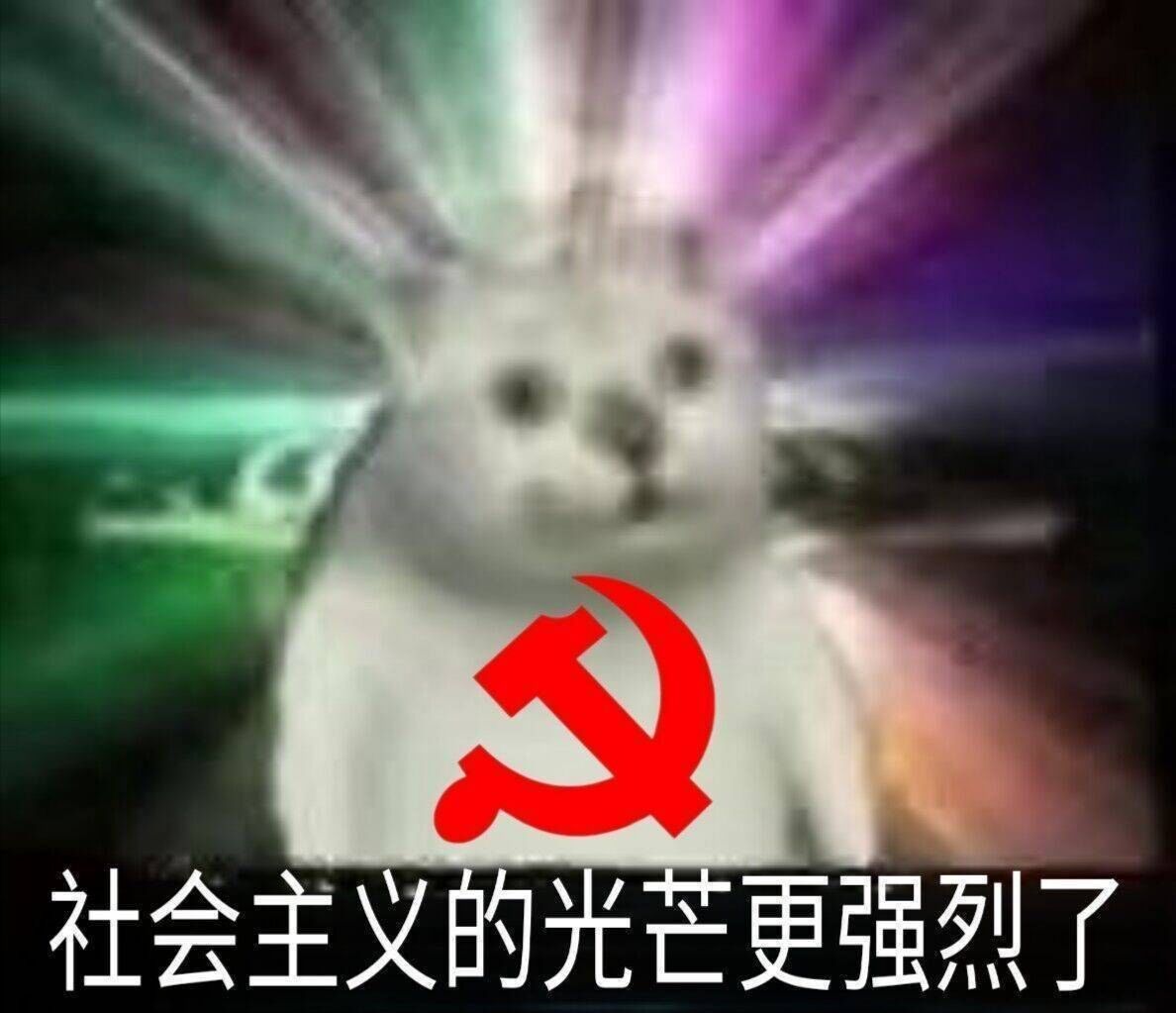 QQ图片20200410143659.jpg