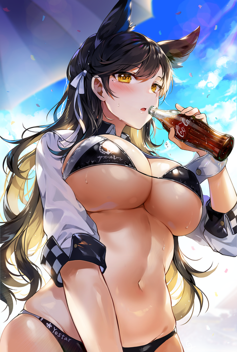 -491bf038ea9524c3.png