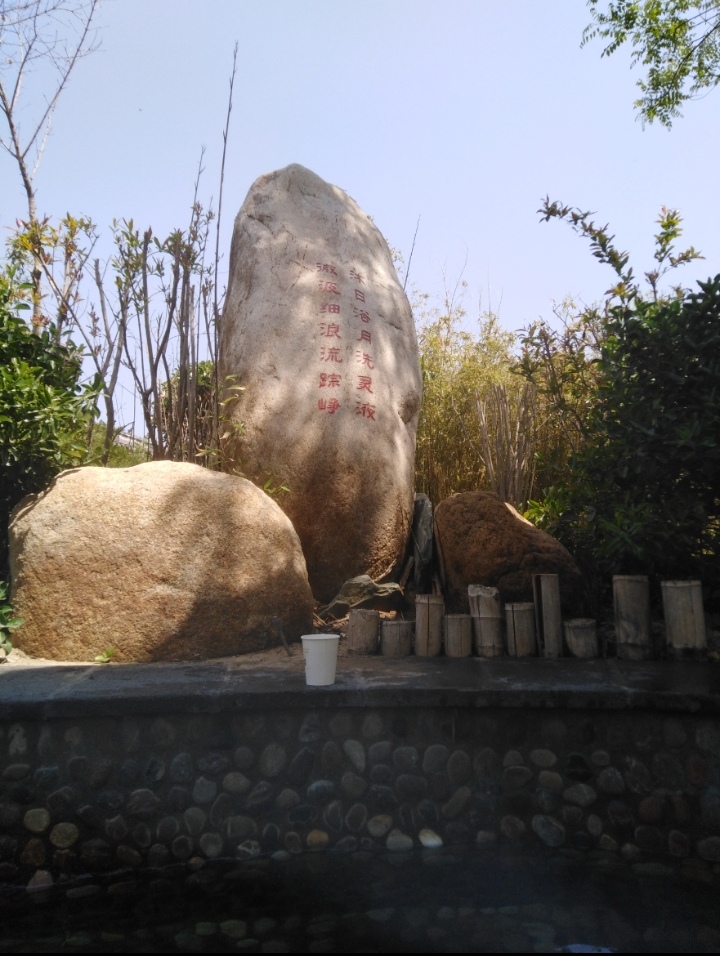 IMG_20200425_135826.jpg