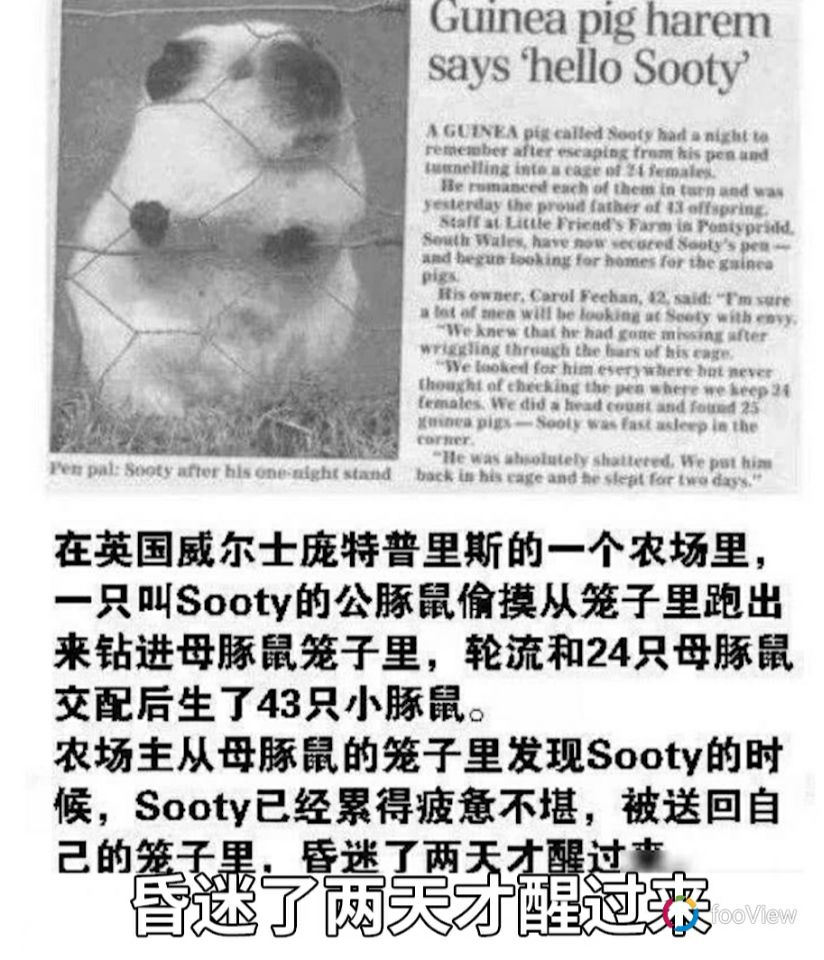 -71c87fe8050bf521.jpg
