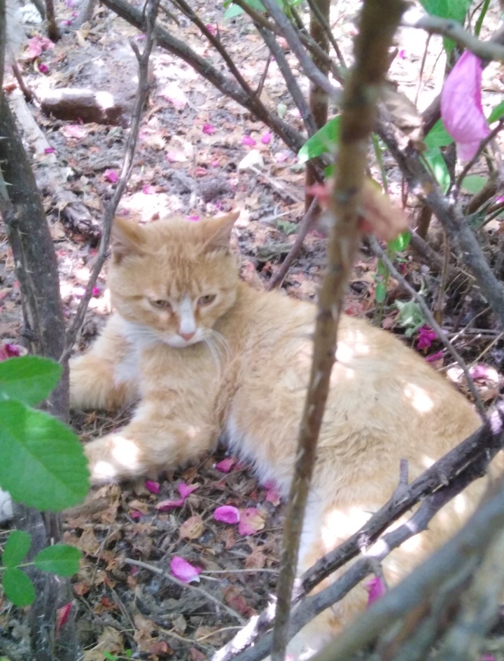 IMG_20200516_135603.jpg