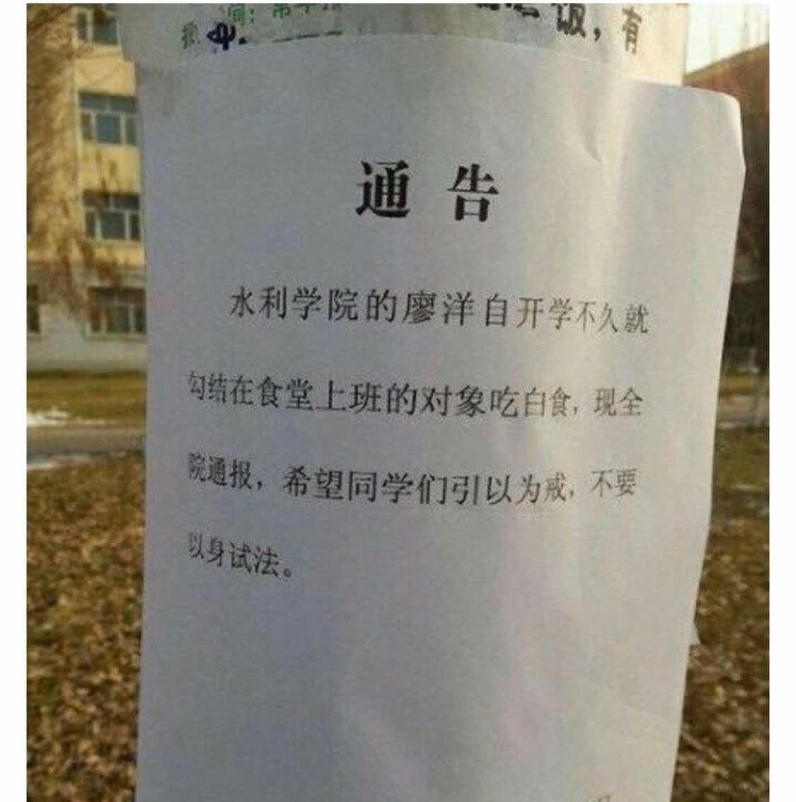 null7b8f7b420aa303ba.jpg