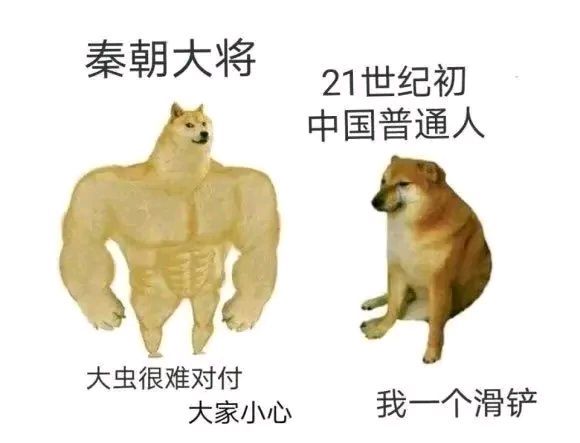 1194141961.jpeg