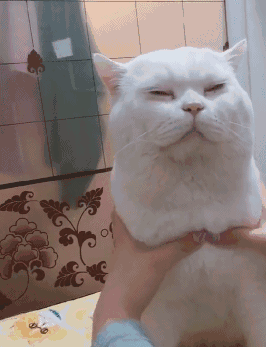 QQ图片20200605194809.gif