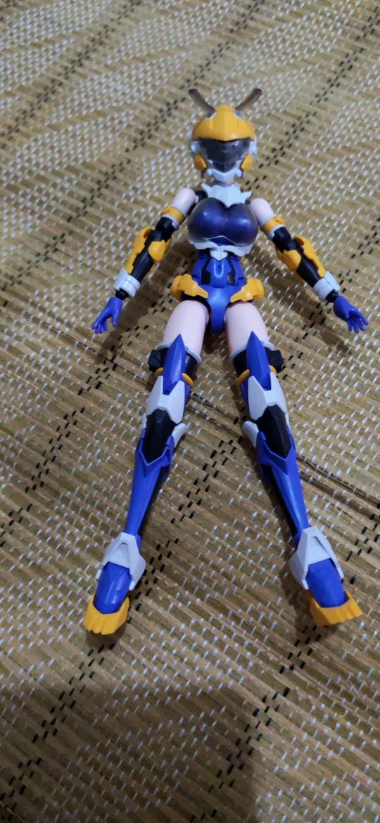6851918051a9cd3a.jpg