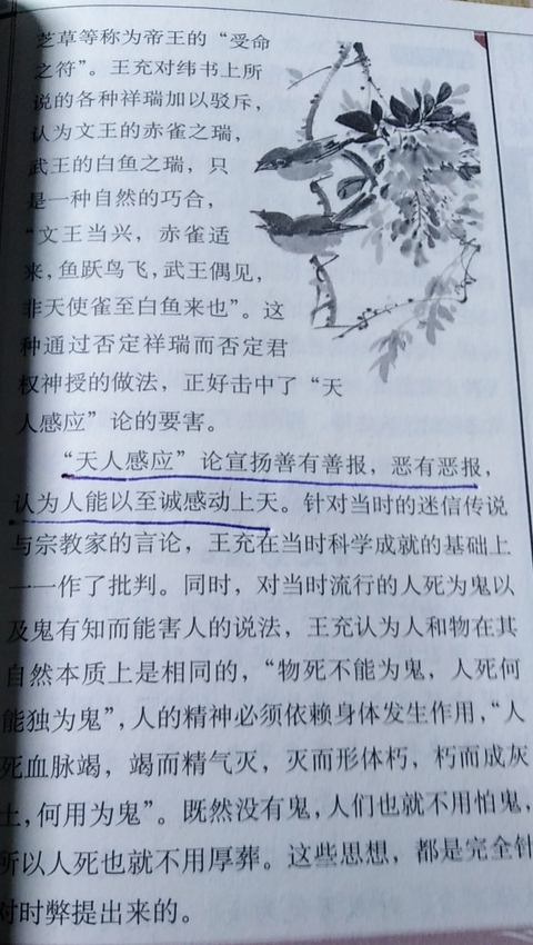 mmexport1598354000690.jpg
