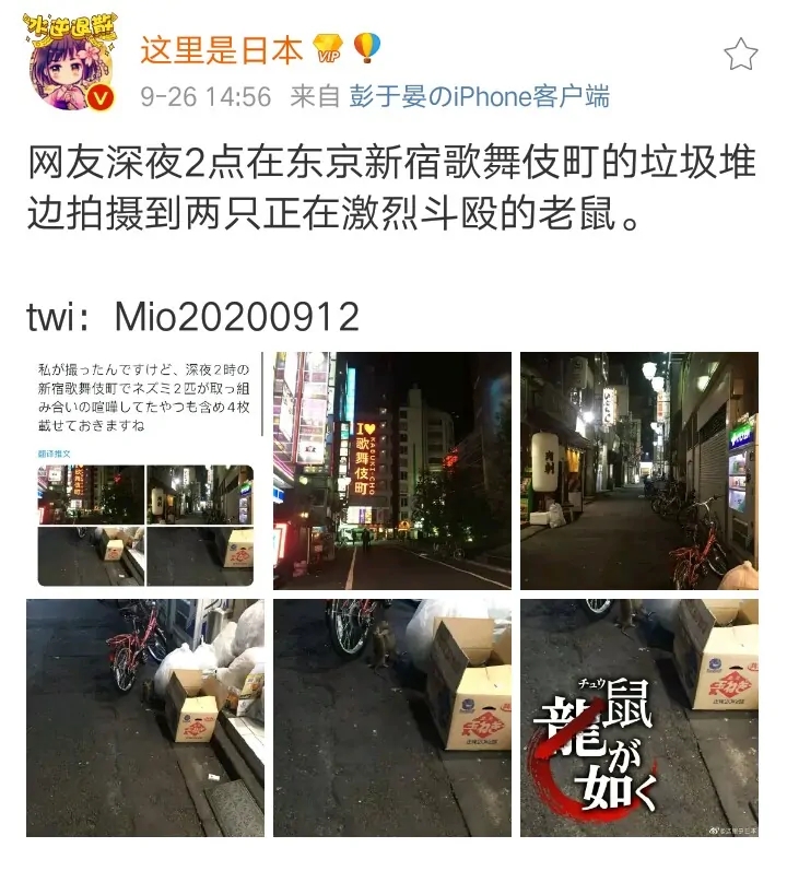 63C051C768DAC9F9301CA2D22DE0B6BE.jpg