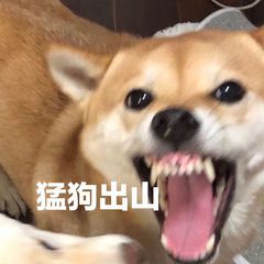 64d8d2a94108b02.jpg