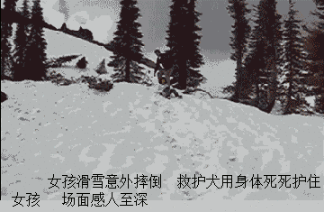 796fc7752edbc3d6.gif