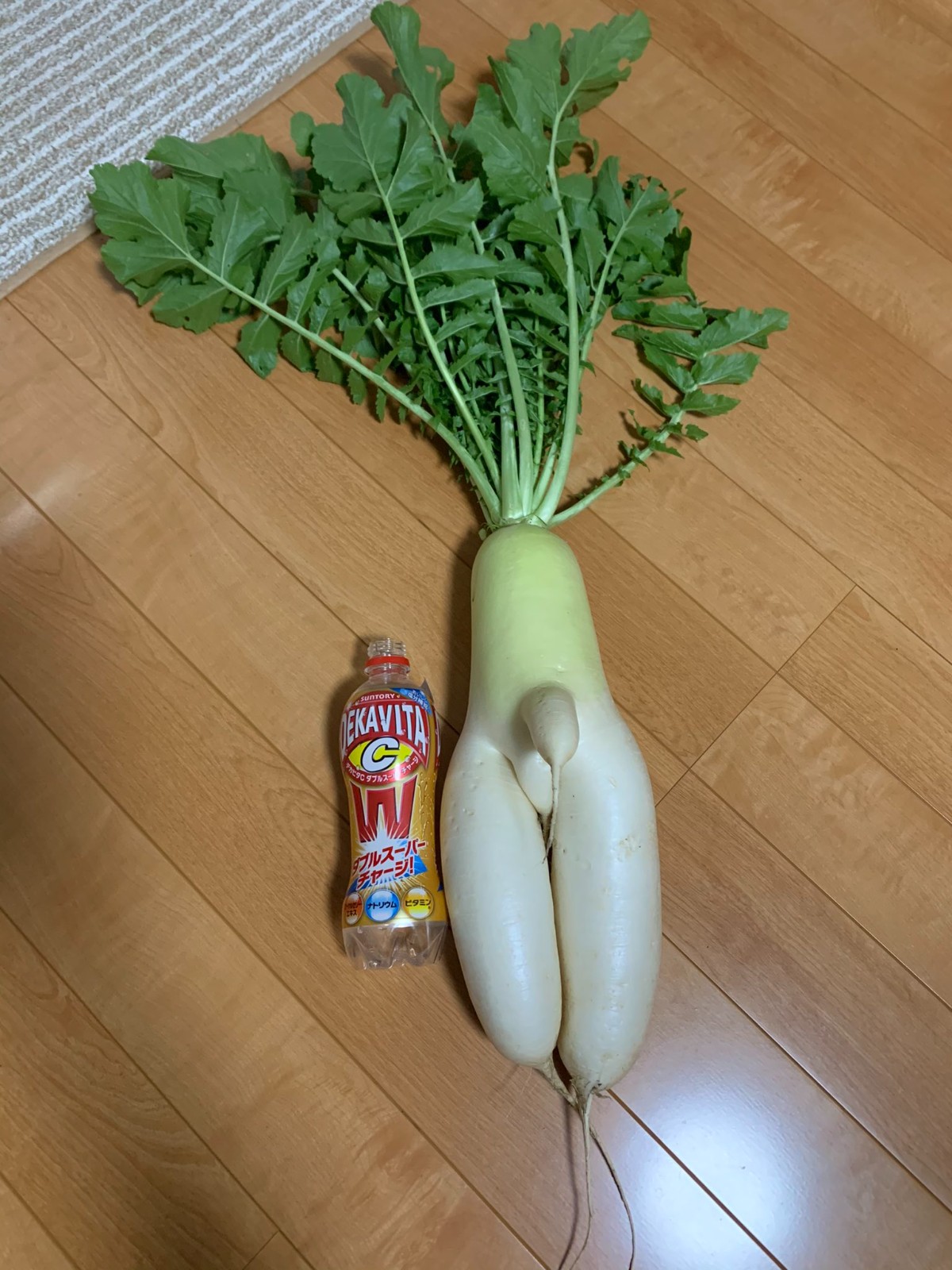 e3a67278cf7e8c16a3e67f32affddc13.jpg