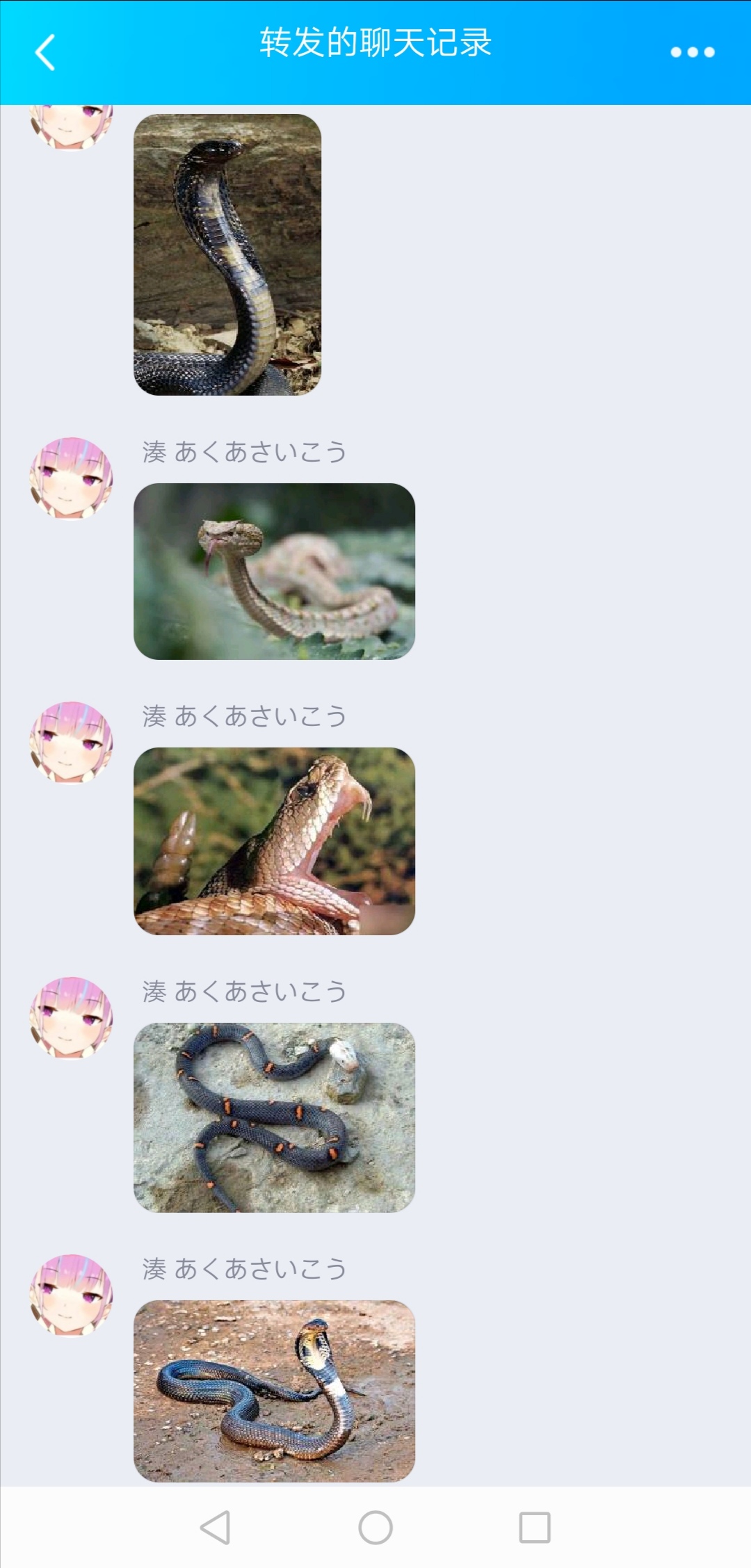 Screenshot_20201222_133826.jpg
