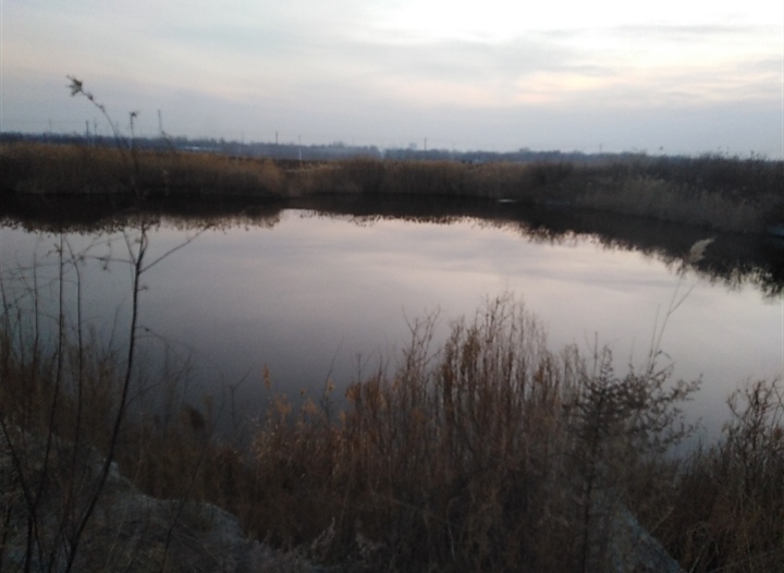 IMG_20210127_133851.jpg