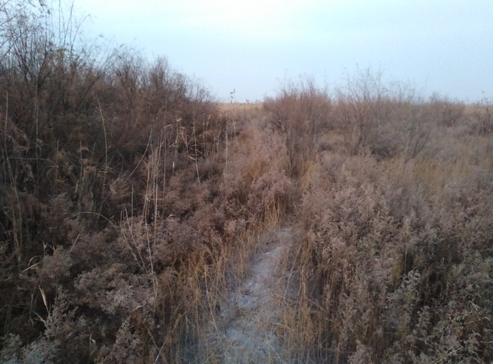 IMG_20210127_134032.jpg