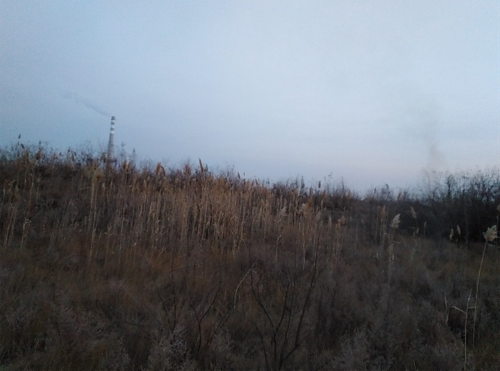 IMG_20210127_134047.jpg