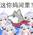 -7429ad644f4667d1.jpg