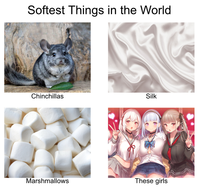 3AA2BEC03A728DA89D6EE6F71776A55D.jpg