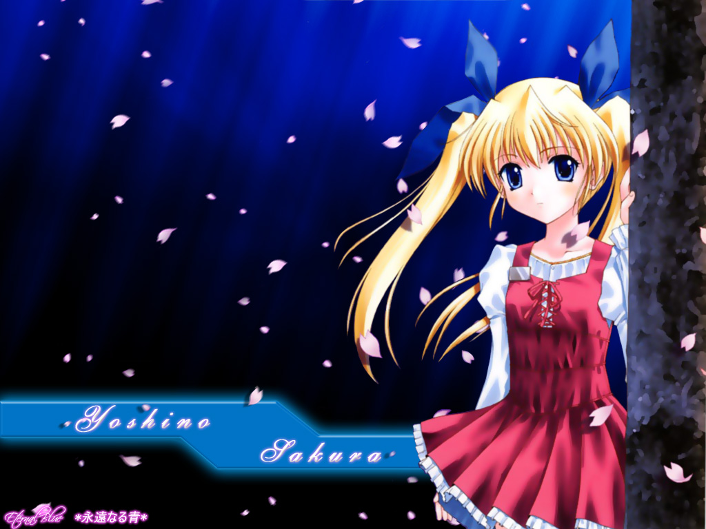 Konachan.com - 1165 da_capo yoshino_sakura.jpg