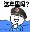 005D3e9Lly1gjqzfp541gj303a03g744.jpg