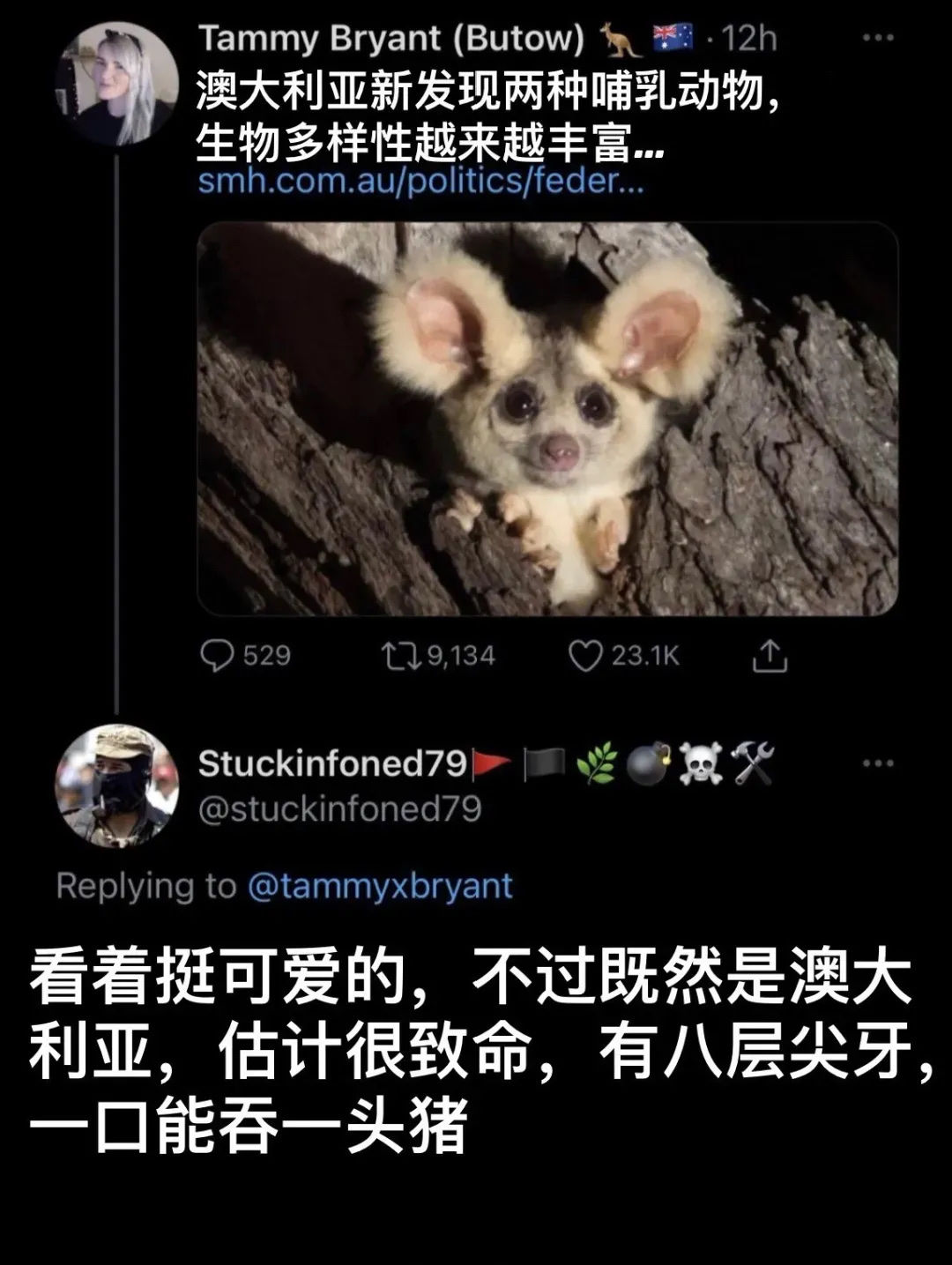 1B7D7AC839E24869F5DAF9F698049FCC.jpg